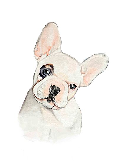 ilustración infantil perrito buldog