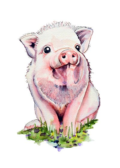 ilustración infantil cerdito rosa