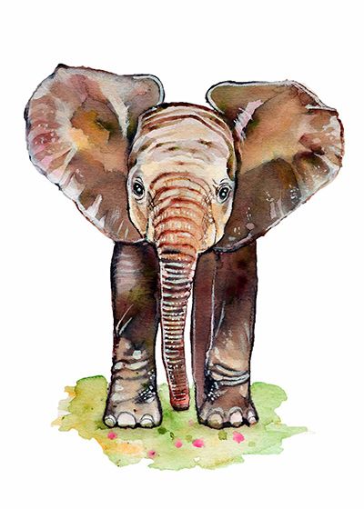 ilustración infantil elefante