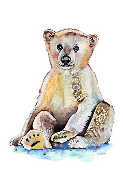 ilustración infantil oso polar