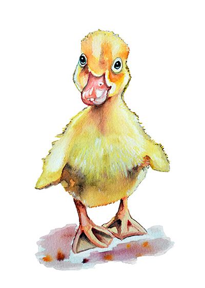 ilustración infantil pato