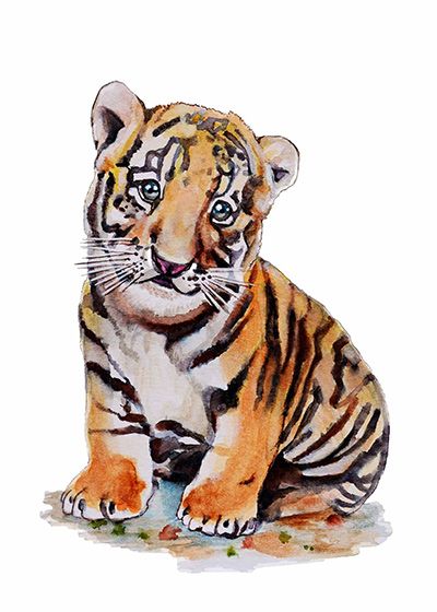 ilustración infantil cachorro tigre