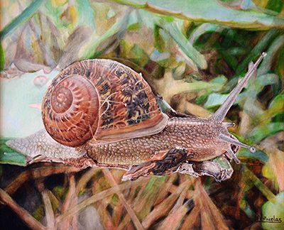 pintura hiperrealista caracol