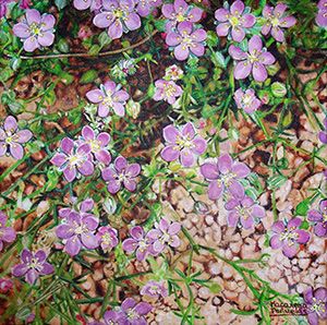 pintura realista flores centauras