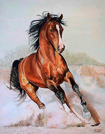 pintura realista retrato caballo galopando