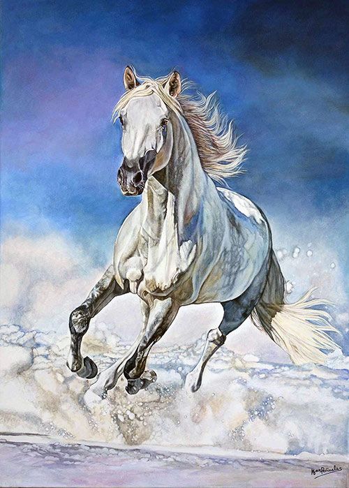 pintura caballo blanco cabalgando