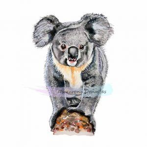 koala - ilustración