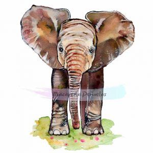 elefante - ilustración