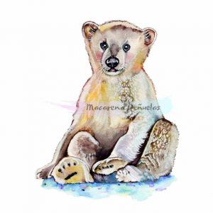 oso polar - ilustración