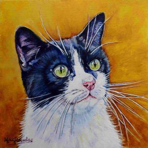 Pintura del gato Charlie en óleo al agua