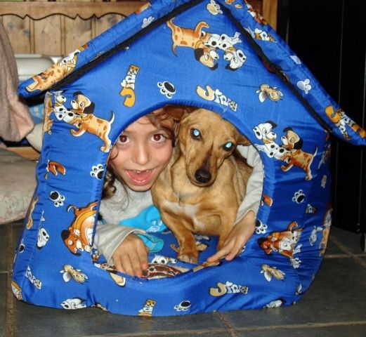 niño y perro para pinturas personalizadas