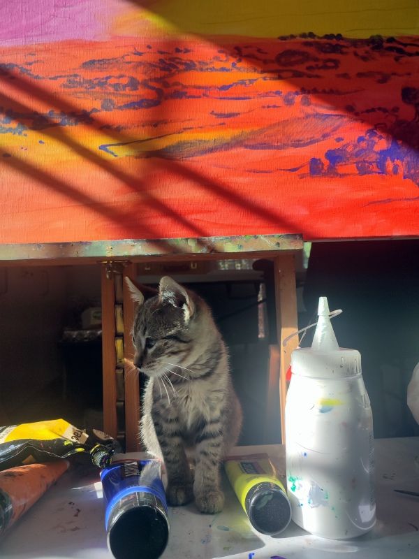 retrato de foto para pintura por encargo de animales