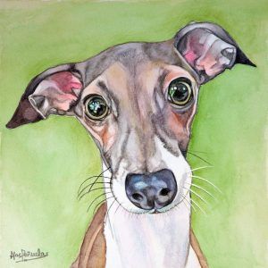 Retrato en acuarela de perro en tonos alegres. retratos de mascotas por Macarena Peñuelas