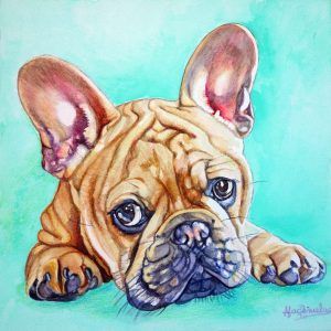 Retrato de cachorro bulldog en acuarela en tonos verdes turquesas y ocres, hecho en acuarela por Macarena Peñuelas