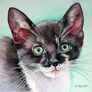 Retrato de gato, en tonos verde agua, negros y blancos, retrato de mascotas por encargo, en acuarela por Macarena Peñuelas