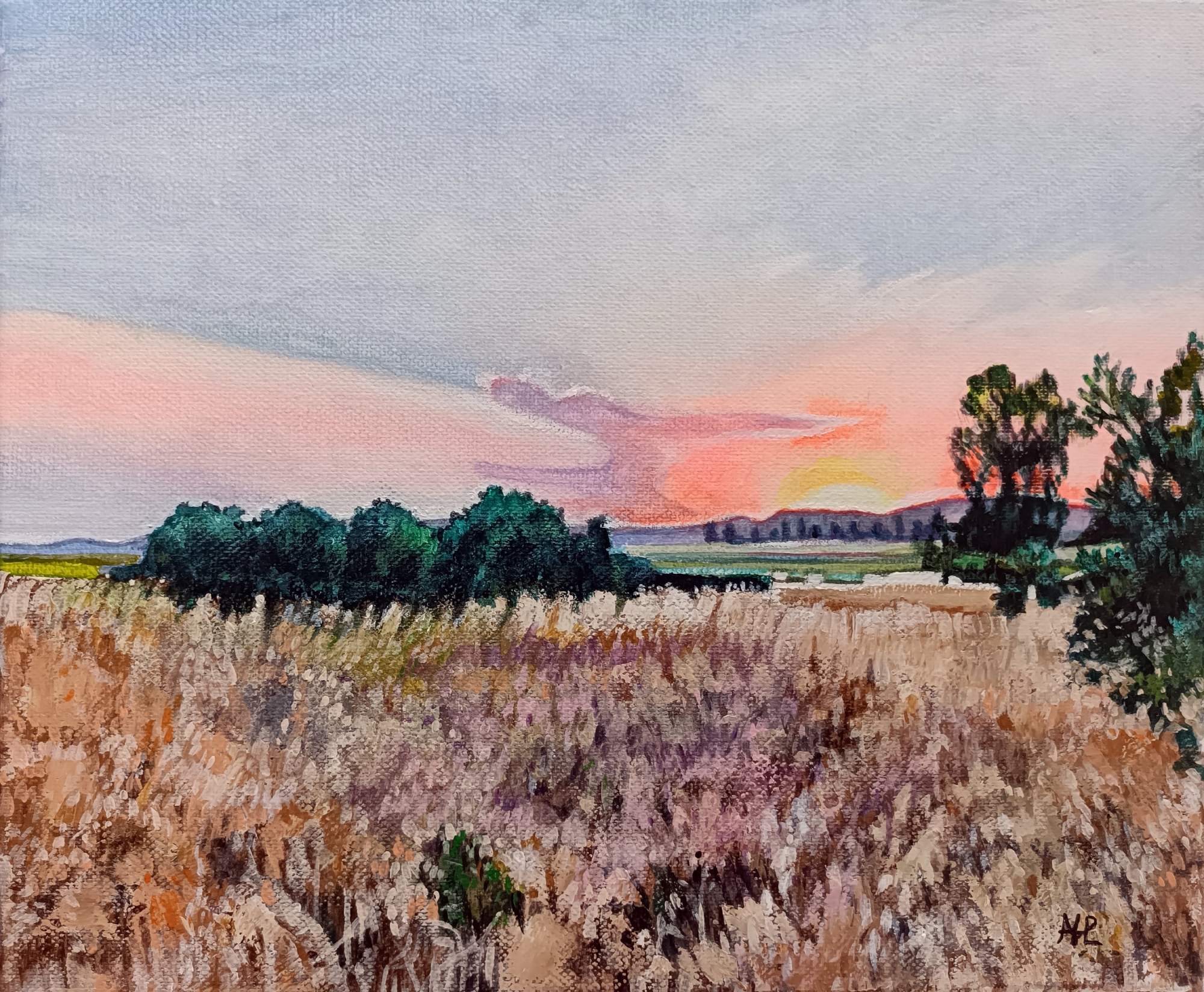 Atardecer en la campiña, paisaje de hierba pajiza y alta con tonos verdes oscuros y violetas, árboles verdes al fondo, montañas y cipreses en el horizonte, cielo rosa naranja amarillo lila y azul con sol blanco casi cubierto, acrílico 25x30 cm