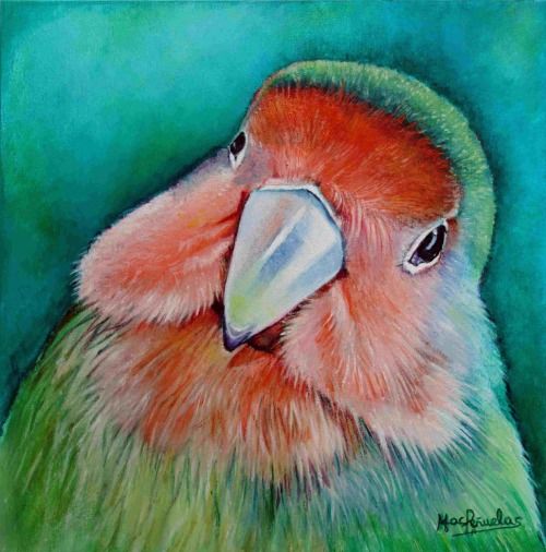 Agapornis, óleo al agua sobre madera de haya acunada de 20x20 cm. Carita de agapornis en colores verde, rojizos y naranja melocotón. Fondo verde esmeralda.