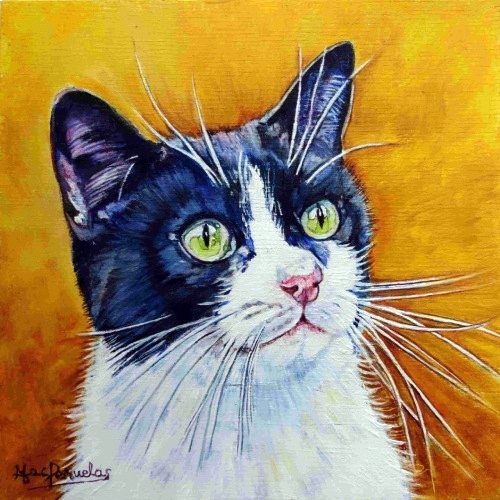 Charlie, óleo al agua sobre madera de haya acunada de 20x20 cm. Retrato de un gato blanco y negro con ojos verdes. Fondo en tonos tierra anaranjados y ocres.