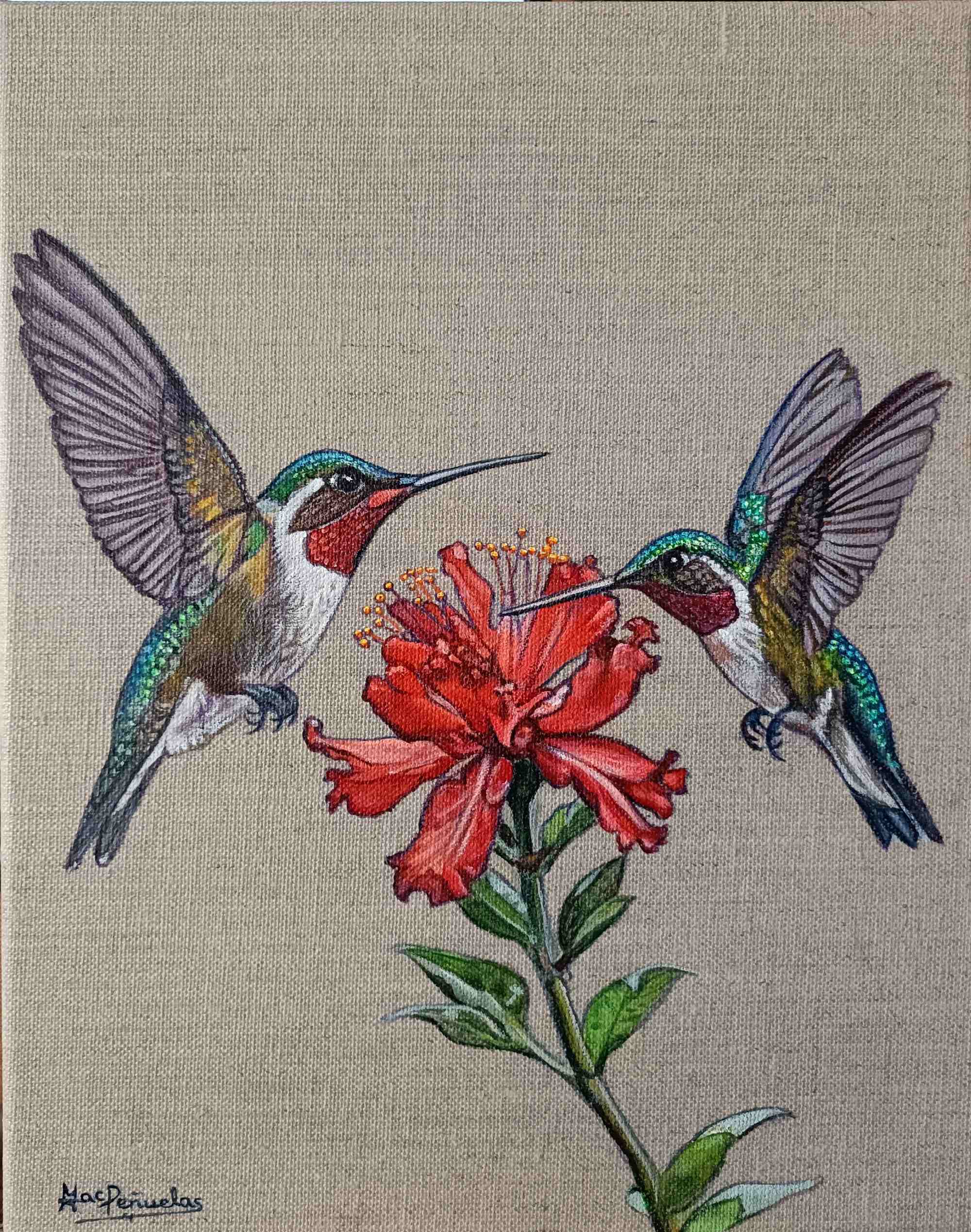 Colibríes con flor roja, acrílico sobre lienzo de lino con bastidor de madera de 30x24 cm. Dos colibríes detallados en verdes, dorados y rojos metalizados vuelan a los lados de una flor roja. Fondo del color natural del lino del lienzo.