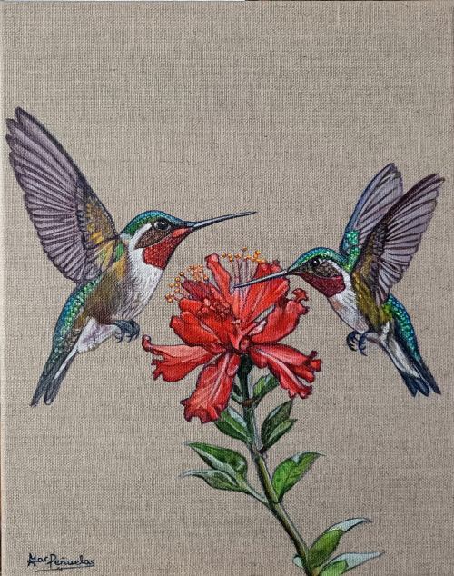 Colibríes con flor roja, acrílico sobre lienzo de lino con bastidor de madera de 30x24 cm. Dos colibríes detallados en verdes, dorados y rojos metalizados vuelan a los lados de una flor roja. Fondo del color natural del lino del lienzo.