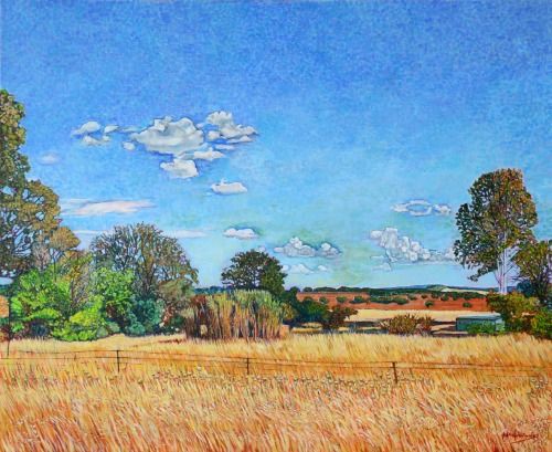 El momento de la siesta, acrílico sobre lienzo 3D de 73x89 cm. Paisaje de Fuente Ovejuna, Córdoba. Sembrado con pasto pajizo atravesado por una valla de alambre. Al fondo arboleda, cañaveral, campo de tierra con árboles bajos y montañas lejanas. Cielo azul con nubes salteadas.