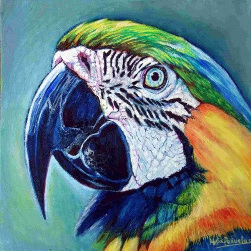 Guacamayo, óleo sobre lienzo de algodón orgánico fijado en cartón de 20x20 cm. Cara de perfil de guacamayo en colores verdes, azules y amarillos. Fondo verde azulado.