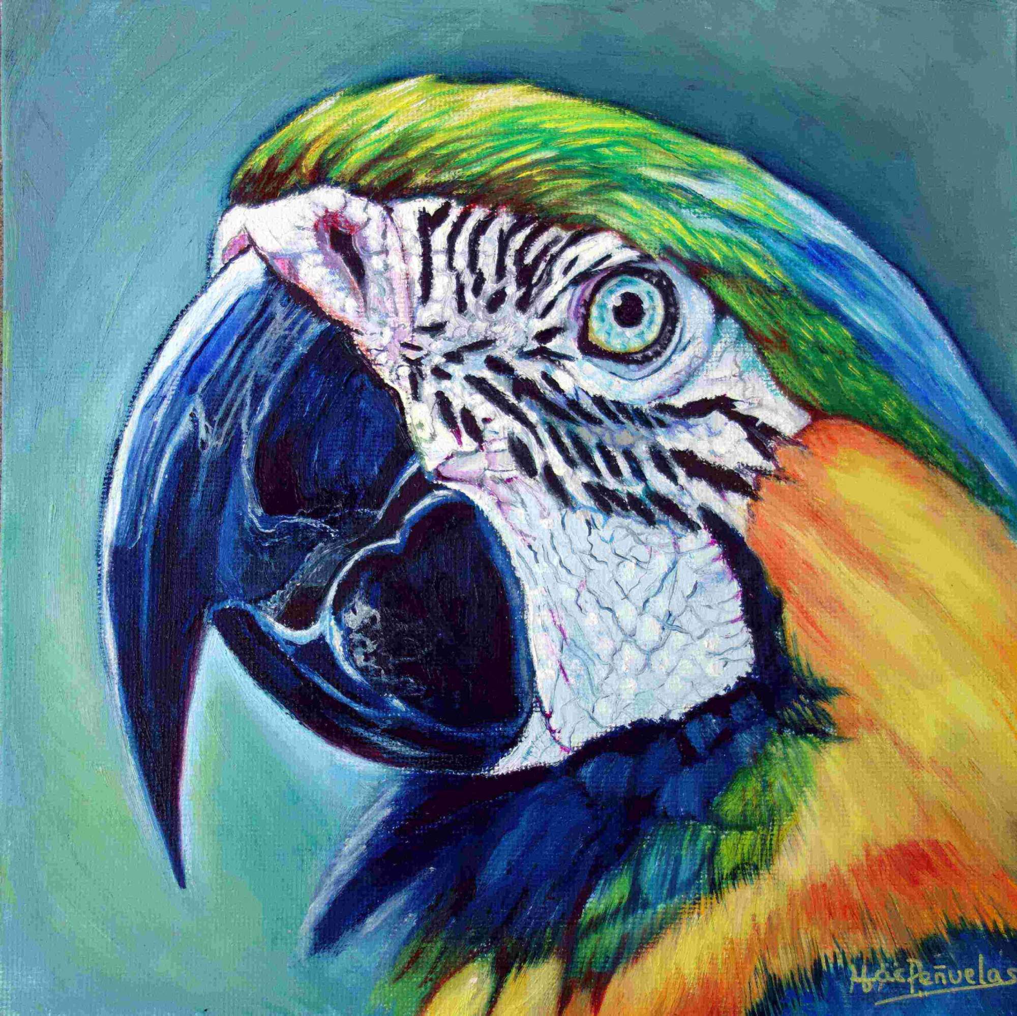 Guacamayo, óleo sobre lienzo de algodón orgánico fijado en cartón de 20x20 cm. Cara de perfil de guacamayo en colores verdes, azules y amarillos. Fondo verde azulado.