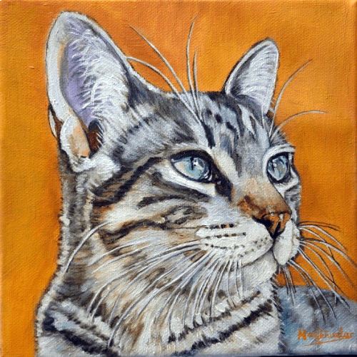 Guille, óleo sobre lienzo con bastidor de madera de 20x20 cm. Retrato de la cara de un gato atigrado con ojos verde azulados. Fondo naranja.