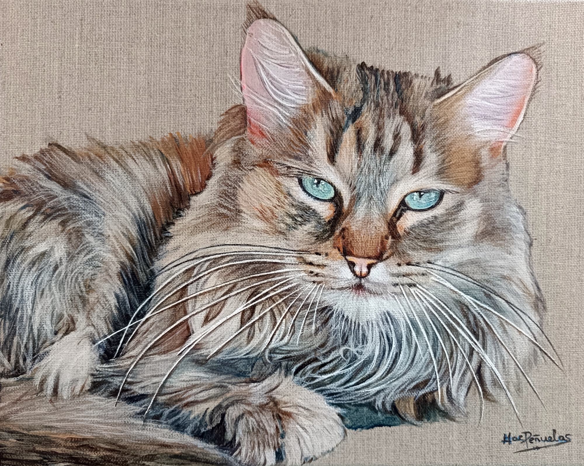Janis, La Pelos, acrílico sobre lienzo de lino natural con bastidor de madera de 24x30 cm. Retrato de una gata de pelo largo en tonos grises con ojos verdes azulados. Fondo del color natural del lino del lienzo.