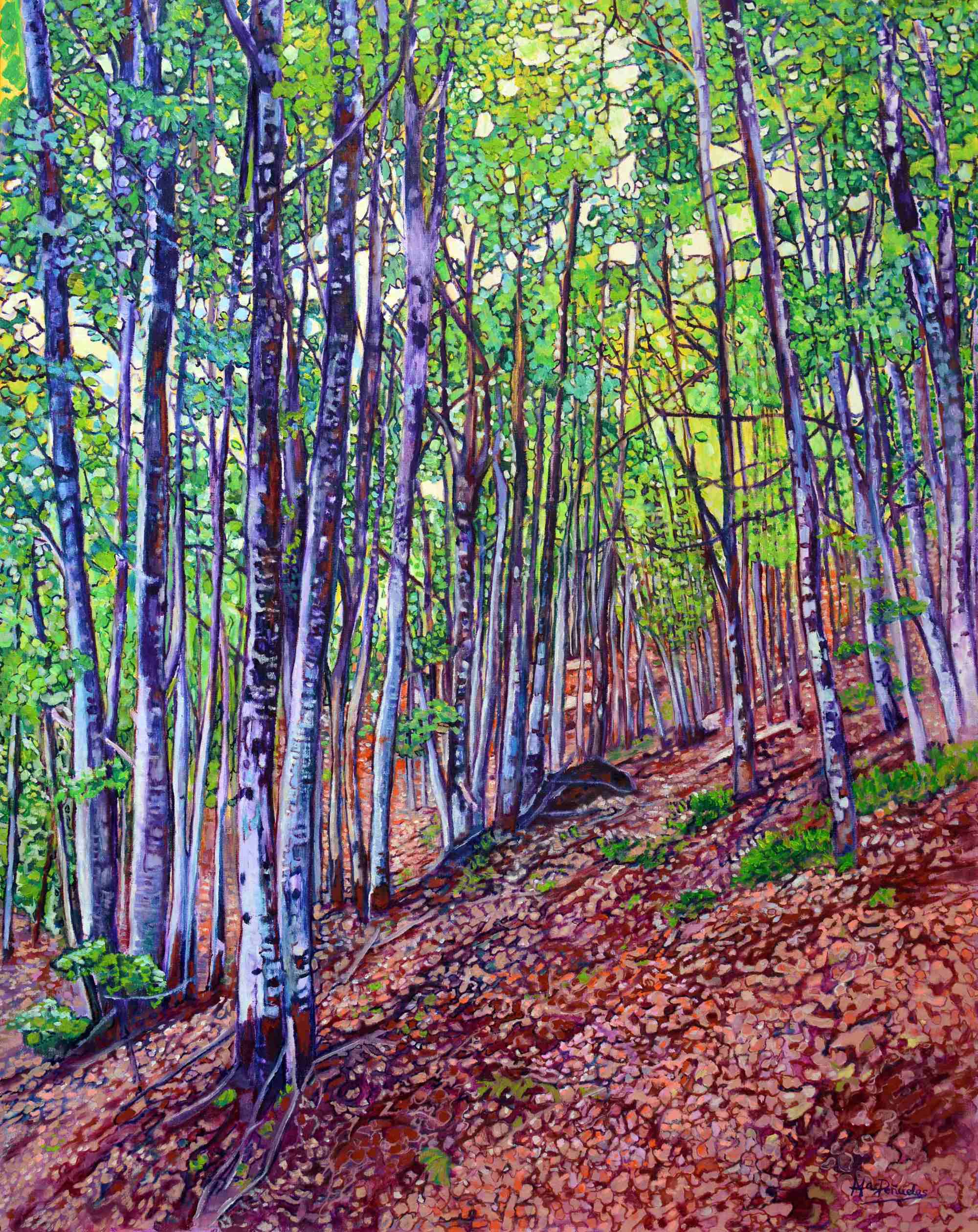 Laberinto en la naturaleza, acrílico y óleo sobre lienzo con bastidor de madera de 92x73 cm. Bosque de finos troncos blanquecinos con hojas verdes sobre suelo rojizo de tierra y hojarasca.