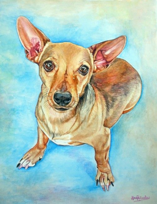 Mi ángel Jenny, acuarela y lápices sobre papel de acuarela de 36x28 cm. Retrato de cuerpo entero de una perrita color canela con mancha blanca en el pecho. Fondo azul celestial con ocres suaves.
