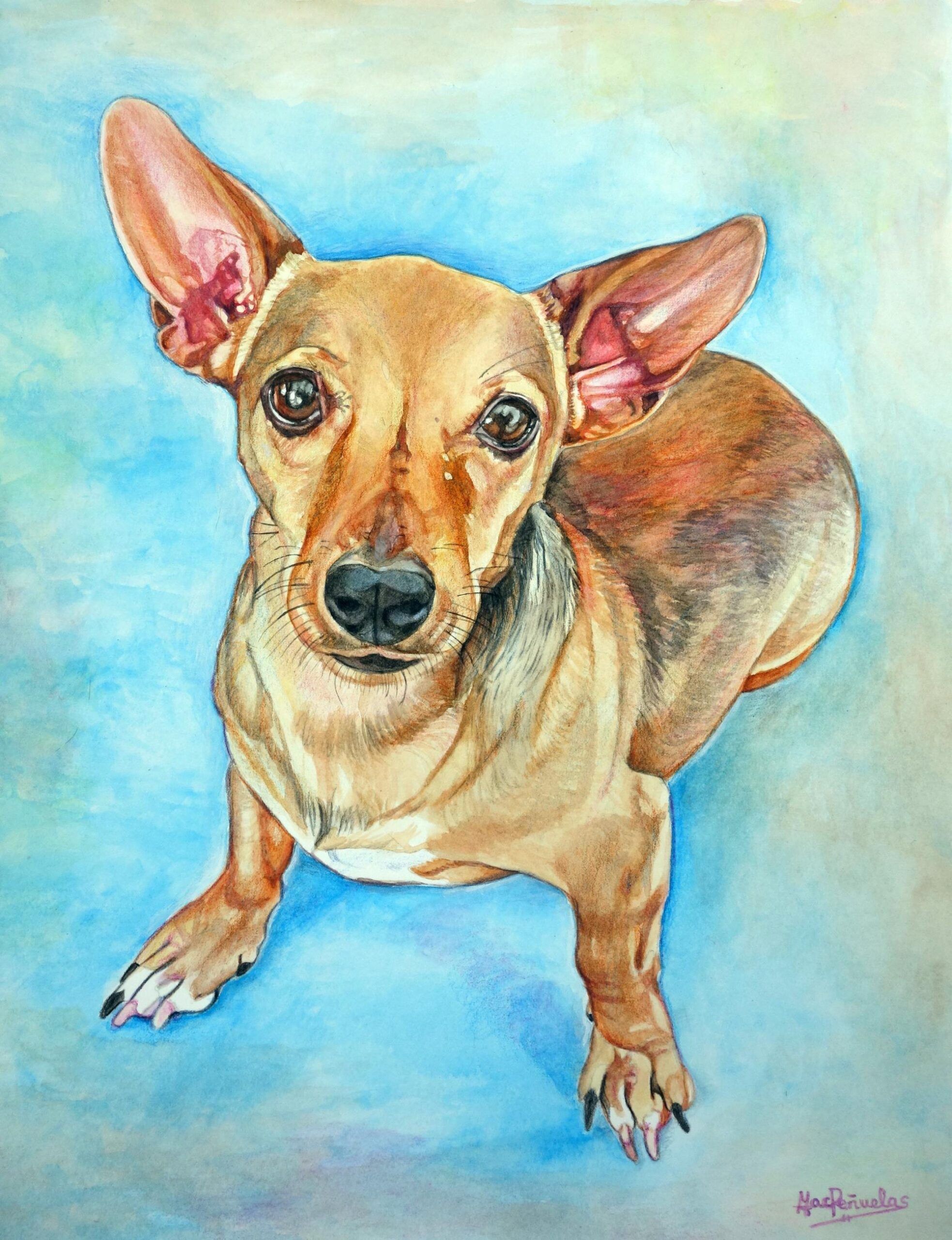 Mi ángel Jenny, acuarela y lápices sobre papel de acuarela de 36x28 cm. Retrato de cuerpo entero de una perrita color canela con mancha blanca en el pecho. Fondo azul celestial con ocres suaves.