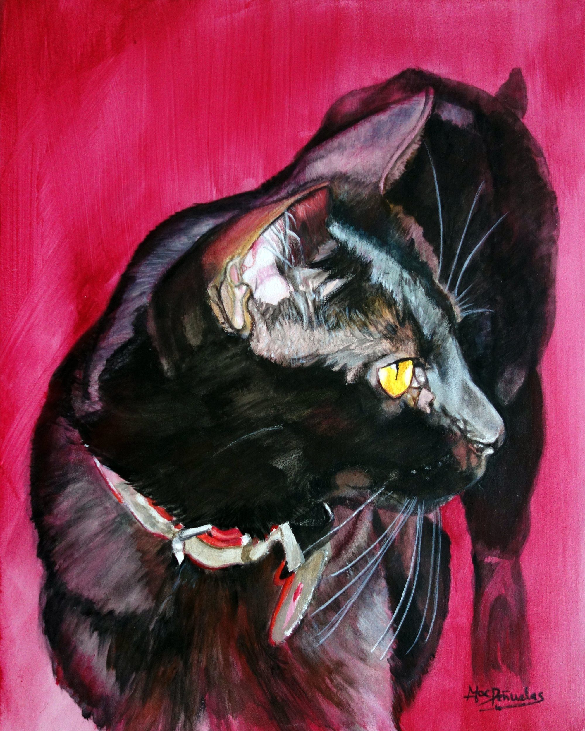 Noche, acrílico sobre madera acunada de 25x20 cm. Retrato de perfil de un gato negro de ojos amarillos con un collar rojo desgastado y estropeado. Fondo fucsia fuerte.