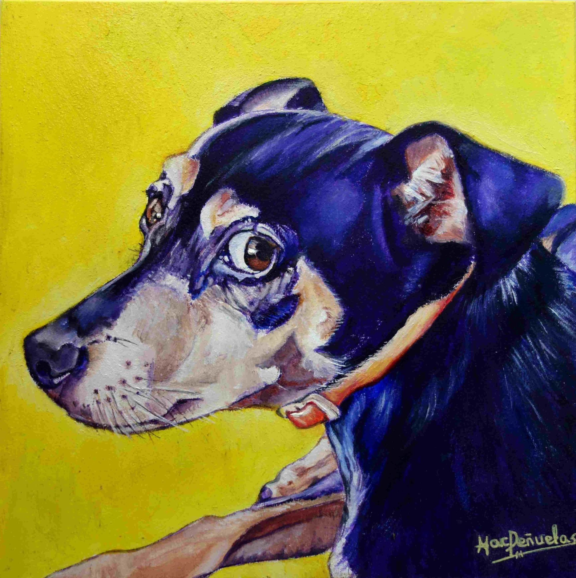Nora, óleo al agua sobre madera de haya acunada de 20x20 cm. Retrato de la cara de una perrita negra y ocre con collar y mirada expresiva y graciosa. Fondo amarillo.