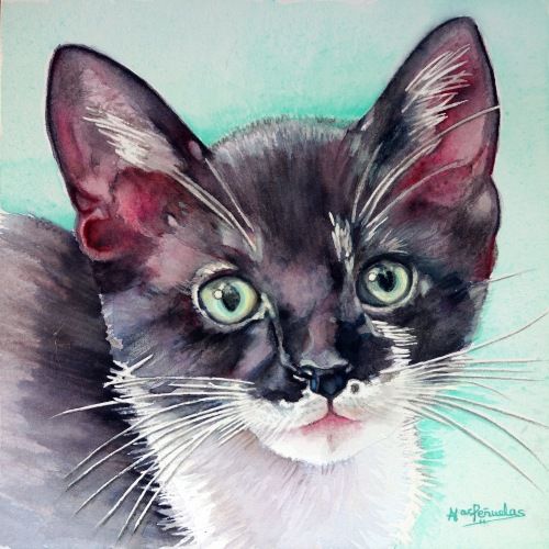 Oreo, acuarela sobre papel de 20x20 cm. Retrato de la cara de una gatita blanca y negra de ojos verdes. Fondo verde menta aguado.
