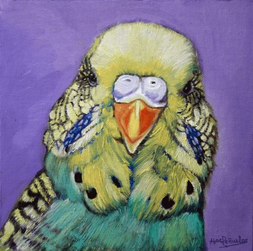Periquito, óleo sobre lienzo de algodón orgánico fijado en cartón de 20x20 cm. Cara de periquito en colores amarillo, verdes y azules. Fondo violeta.