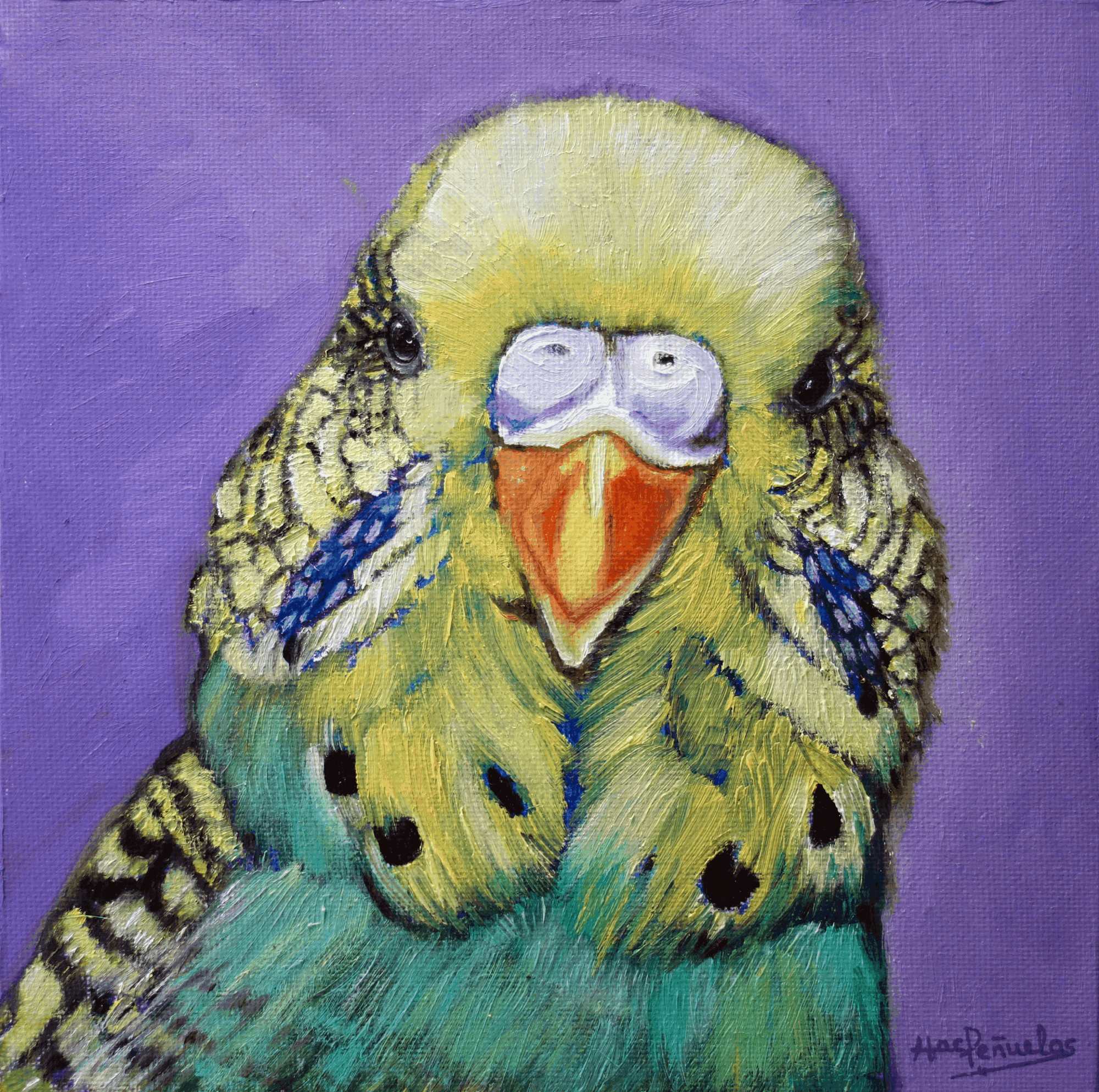 Periquito, óleo sobre lienzo de algodón orgánico fijado en cartón de 20x20 cm. Cara de periquito en colores amarillo, verdes y azules. Fondo violeta.