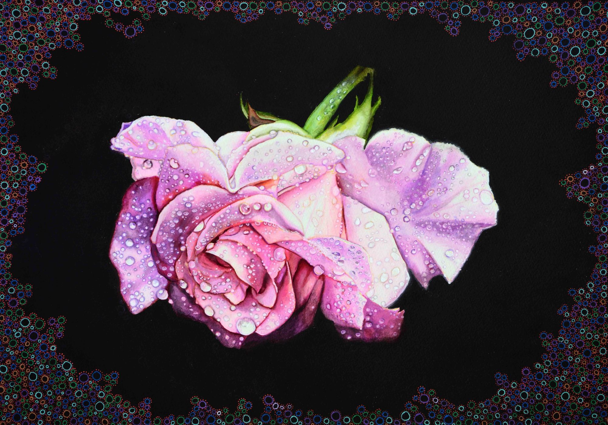 Rocío en la rosa, acrílico sobre papel de acuarela de 36x51 cm. Rosa recién cortada con gotas de agua sobre sus pétalos. Cada gota de rocío atrapa la luz de manera diferente. Contraste entre la suavidad rosada de la flor y el fondo negro intenso. Esquinas y márgenes decorados con círculos de colores.