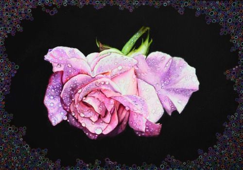 Rocío en la rosa, acrílico sobre papel de acuarela de 36x51 cm. Rosa recién cortada con gotas de agua sobre sus pétalos. Cada gota de rocío atrapa la luz de manera diferente. Contraste entre la suavidad rosada de la flor y el fondo negro intenso. Esquinas y márgenes decorados con círculos de colores.