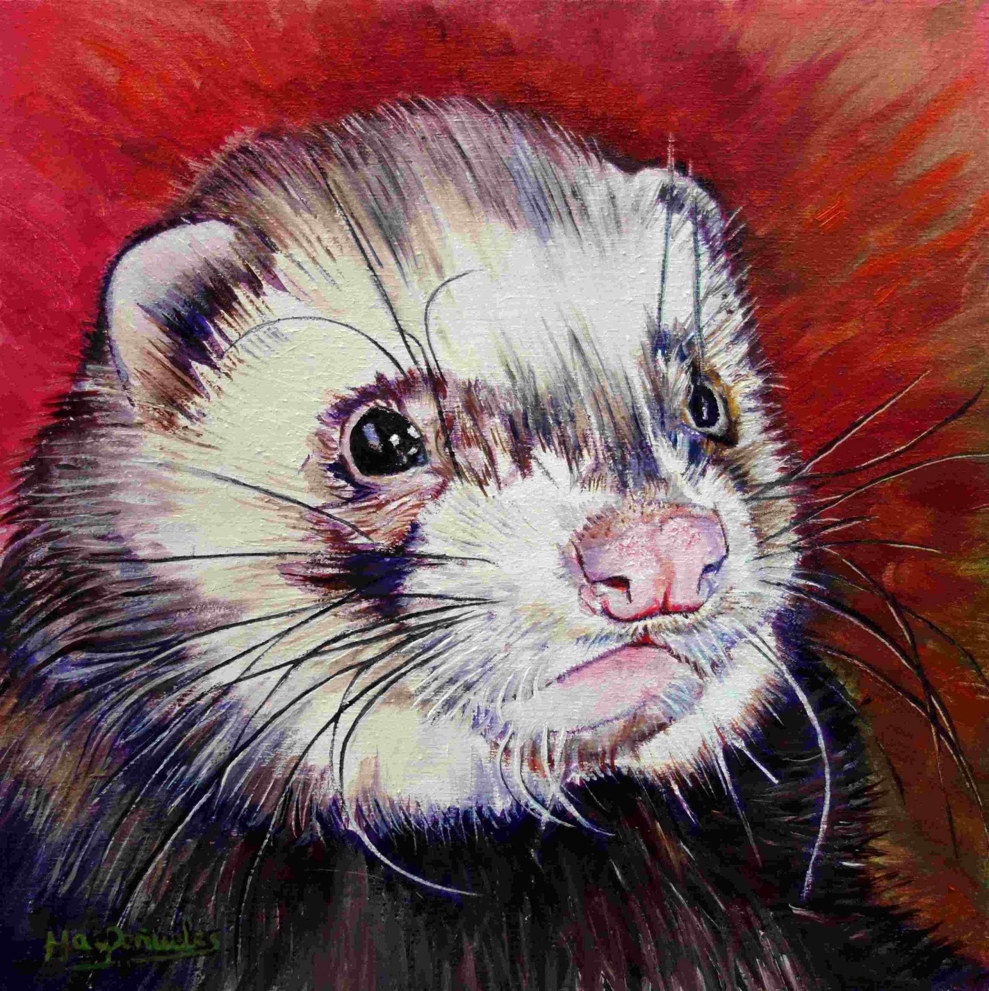 Sammy, óleo al agua sobre madera de haya acunada de 20x20 cm. Retrato de la cara de un hurón. Fondo rojo oscuro.
