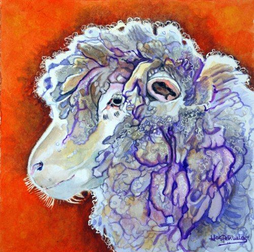 Susi, acuarela sobre papel de 20x20 cm. Retrato de perfil de la cara de una oveja merina blanca con reflejos grises y violetas. Fondo naranja fuerte.