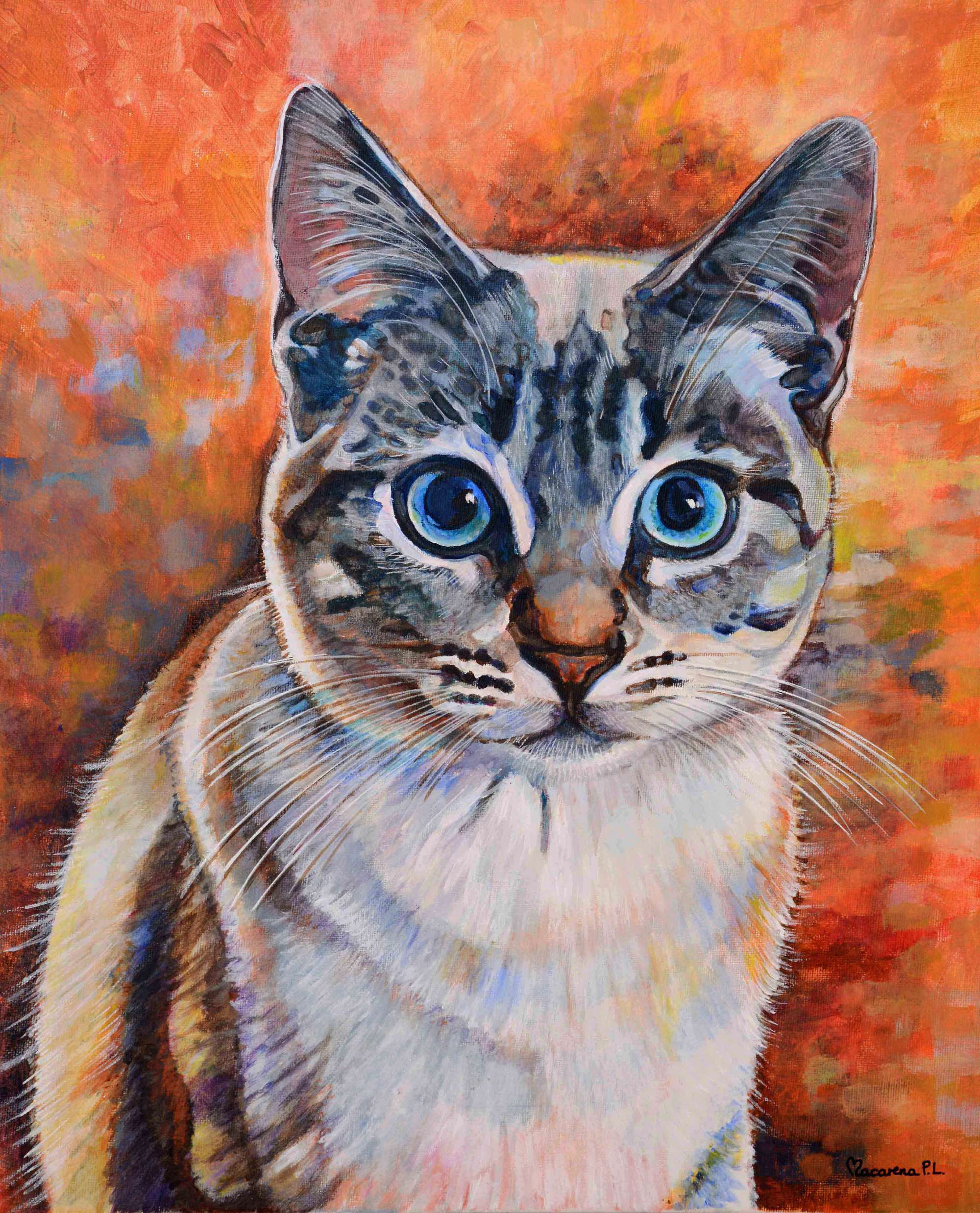 Wendy joven, acrílico sobre lienzo con bastidor de madera de 48x38 cm. Retrato de una gatita blanca y gris rallada de ojos azules. Fondo en fuertes tonos naranjas y rojizos.