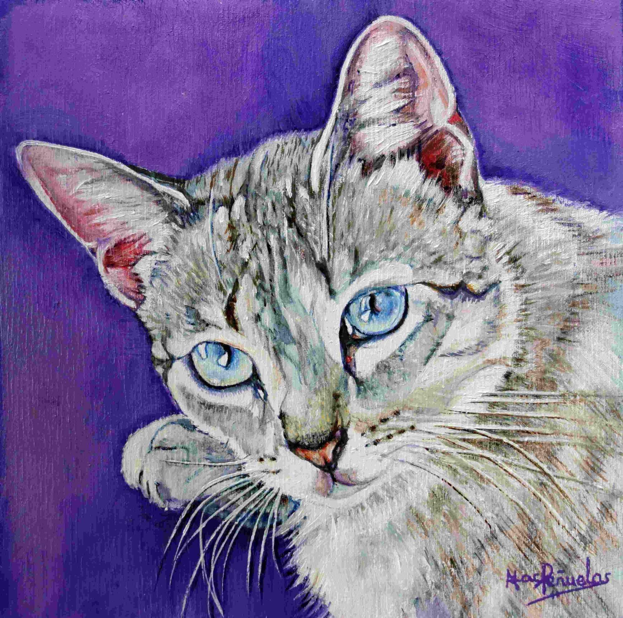 Wendy, óleo al agua sobre madera de haya acunada de 20x20 cm. Retrato de una gata gris atigrada con ojos azules. Fondo violeta.