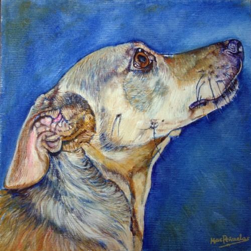 Yenny, óleo al agua sobre madera de haya acunada de 20x20 cm. Retrato de perfil de una perra de colores ocres sobre fondo azul.